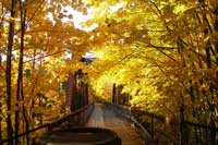 Walking bridge in Autum